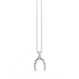 Lucky Wishbone Pendant